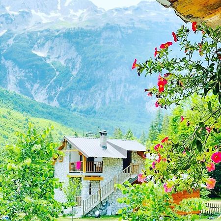 Krojet E Rrogamit Valbone Dış mekan fotoğraf